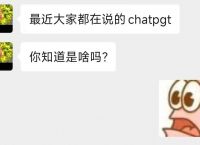 超速走红的ChatGPT，为什么可能重构我们？