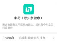 字节跳动重组医疗业务，“小荷医疗”正式曝光，域名是何意？