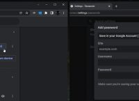 ChromeCanary版浏览器支持手动添加第三方网站账号密码