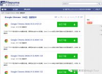 谷歌浏览器有的版本无法打开中文网页