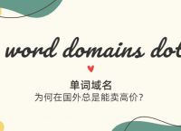 从最近曝光的高价交易来看：为什么国外终端都亲睐单词域名？