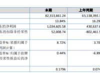 新启成2019年净利103.46万增长140.25%网络营销的新增客户群体淘客电商