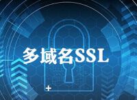 多域名SSL证书是否能保护多个不同类型的网站