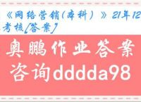 川农《网络营销(本科）》21年12月作业考核[答案]