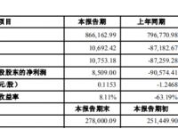 天龙集团2019年盈利8509万元较上年同期扭亏为盈互联网营销营收增长