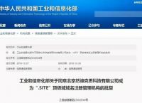 .site域名通过工信部资质审批，喜迎域名市场“开门红”