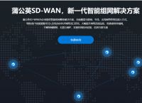 如何将两台电脑连接局域网？如何搭建异地虚拟局域网？
