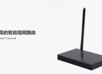 如何建立家庭局域网？联机游戏怎样借助异地组网实现？