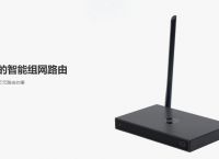 平板电脑能办公吗？蒲公英使异地联机游戏更畅快