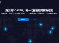 什么是ZigBee组网？蒲公英异地组网的优势有哪些?