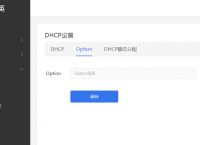 启用dhcp有什么用？蒲公英DHCP设置简单吗？