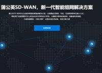 什么是sd-wan?蒲公英sd-wan智能组网的优点
