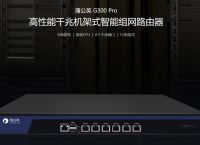数据传输方式有哪些？哪款路由器数据传输效果好？