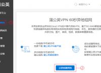 组网方式有哪些?蒲公英组网怎么设置?