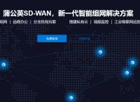 怎样建立局域网？蒲公英智能组网有什么优势？