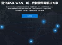 sstp是什么意思？异地组网还可以怎么实现？