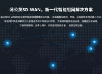 捷报！蒲公英SD-WAN荣获“2019年度最佳创新解决方案奖”