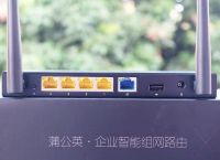 如何让两台电脑连接局域网？蒲公英路由器让异地组网变得更简单