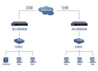 局域网的功能有哪些 蒲公英G100 Pro组建异地局域网无需公网IP
