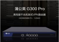 蒲公英发布企业级G300 Pro路由器：小成本实现高性能异地组网