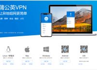 蒲公英异地组网发布树莓派1.0版客户端：拓展专业用户市场
