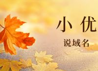 埃哲森集团的域名掉落？终端提前一年购买typo域名？