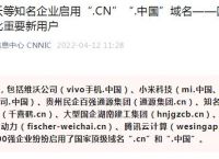 小米等启用.CN.中国域名