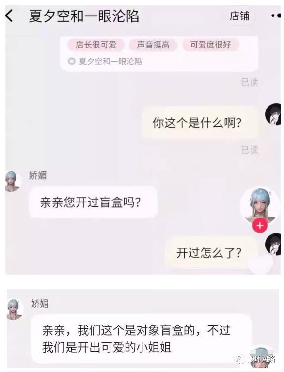 卖虚拟女友系列的.png