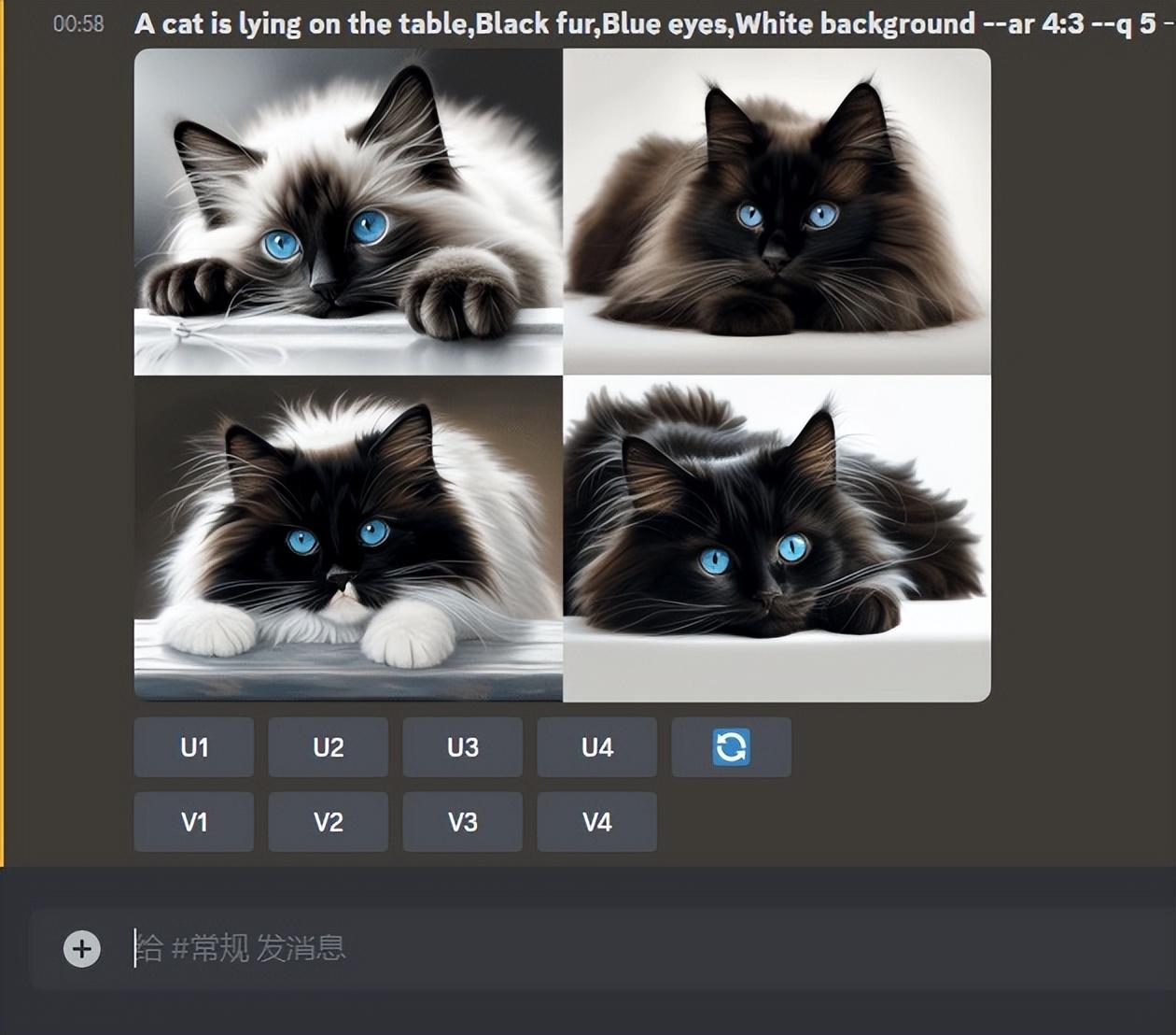 一只趴在桌子上的猫.jpg