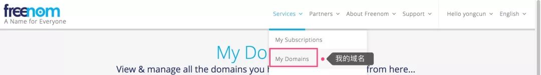 My Domains.jpg