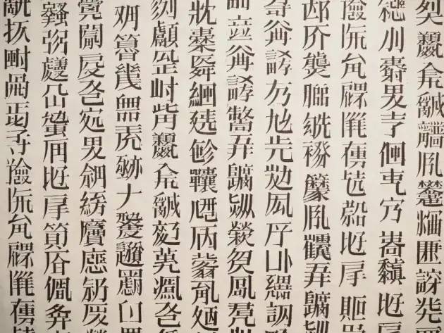 一幅类似艺术家徐冰的作品《天书》的作品.jpeg